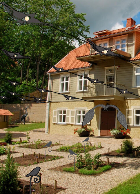 Vizualizācija